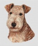 (image for) Lakeland Terrier - Red